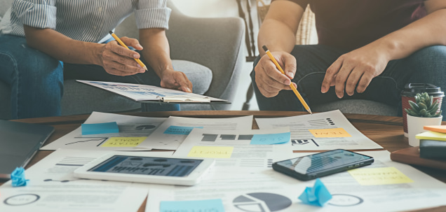 ERP optimization - ERP technology consultant